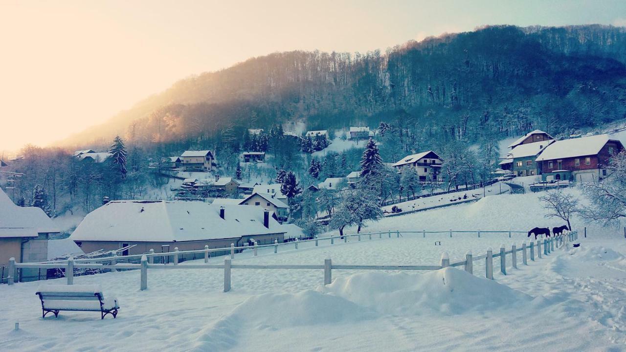 Farm Stay Zevnik เบรชิตเซ ภายนอก รูปภาพ